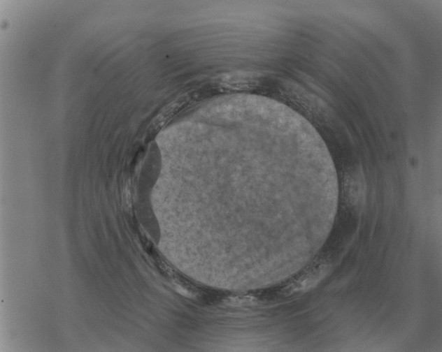 X0000068740271200605262058