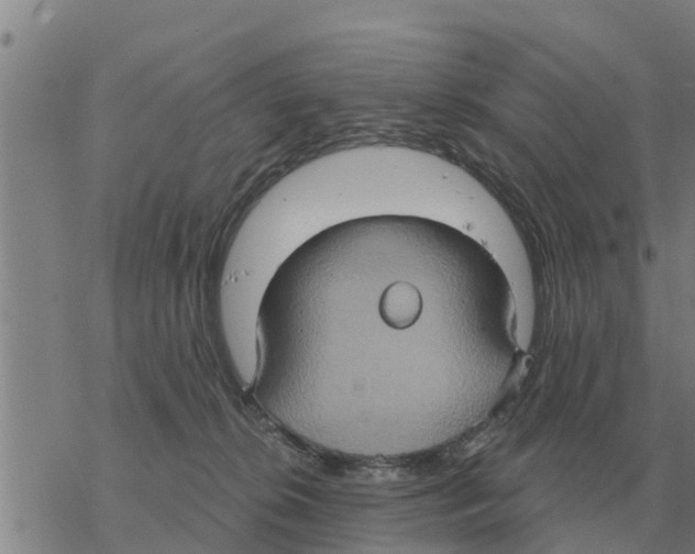 X0000068740276200605262058