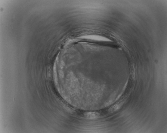 X0000068740277200605262058