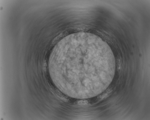 X0000068740279200605262058