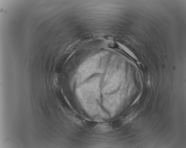 X0000068740280200605262058