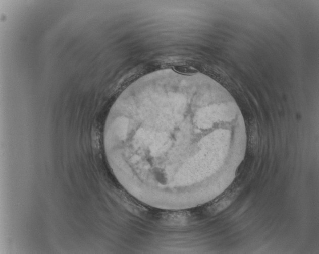 X0000068740282200605262058