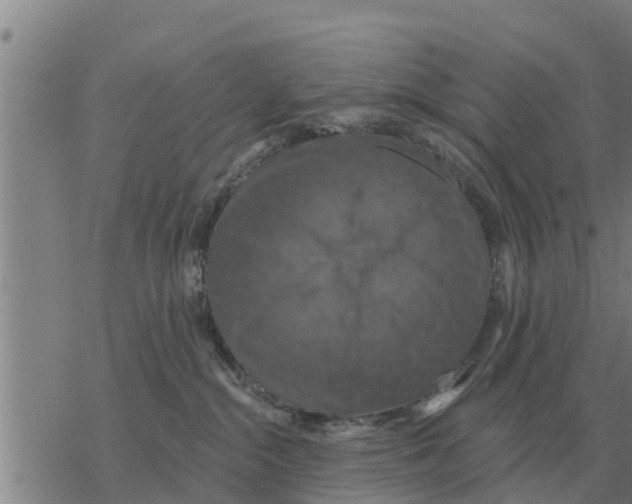 X0000068740284200605262058