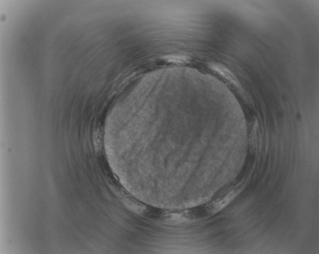 X0000068740285200605262058