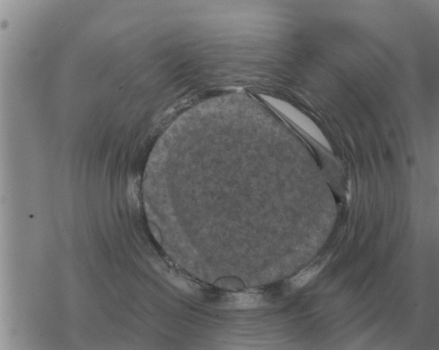 X0000068740286200605262058