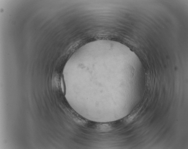 X0000068740287200605262058