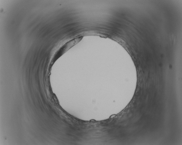 X0000068740289200605262058