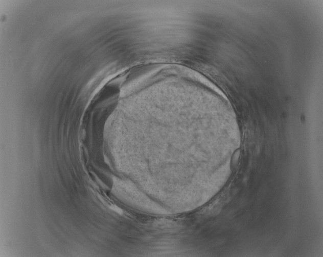 X0000068740290200605262057