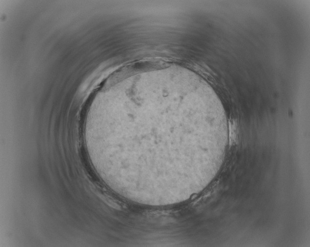 X0000068740291200605262057