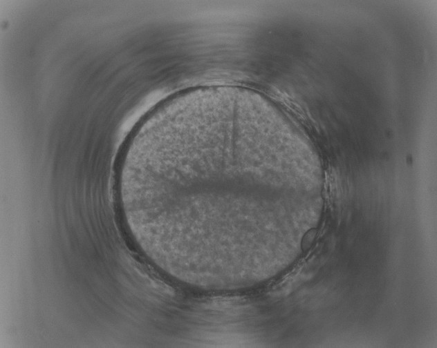 X0000068740292200605262057