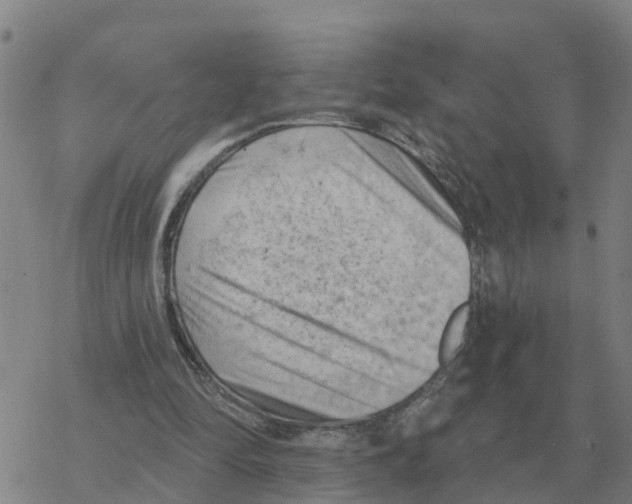 X0000068740294200605262057