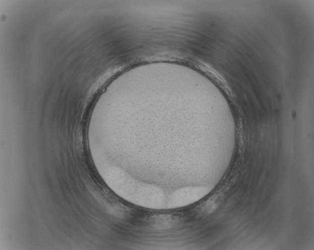 X0000068740298200605262057