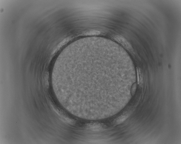 X0000068740300200605262057