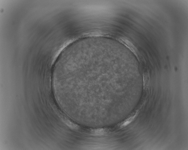 X0000068740301200605262057