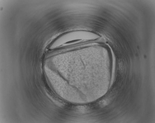 X0000068740302200605262057