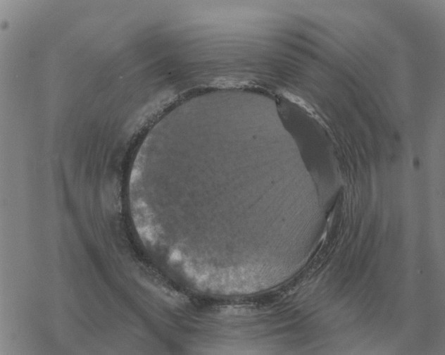 X0000068740303200605262057