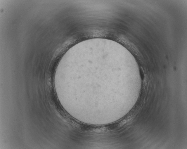 X0000068740306200605262057