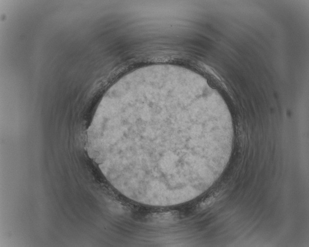 X0000068740307200605262057