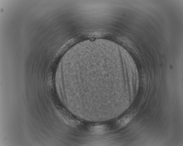 X0000068740312200605262057