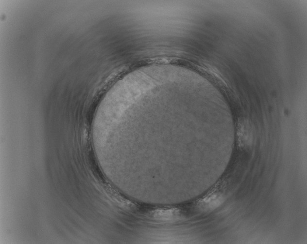 X0000068740314200605262057