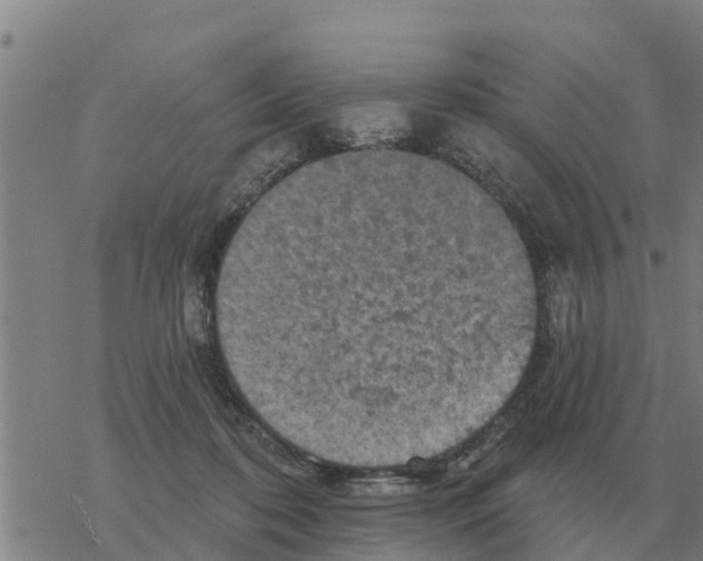 X0000068740316200605262057