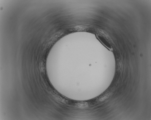 X0000068740317200605262057