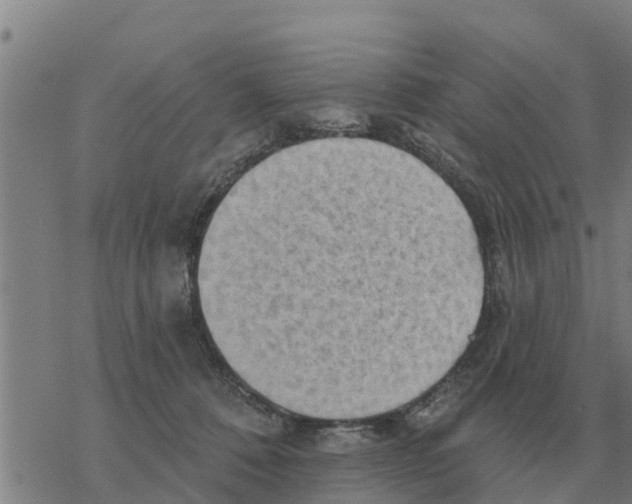 X0000068740320200605262057