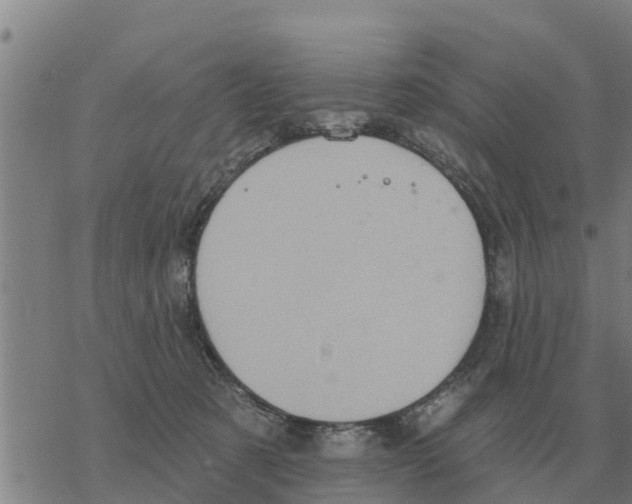 X0000068740321200605262057