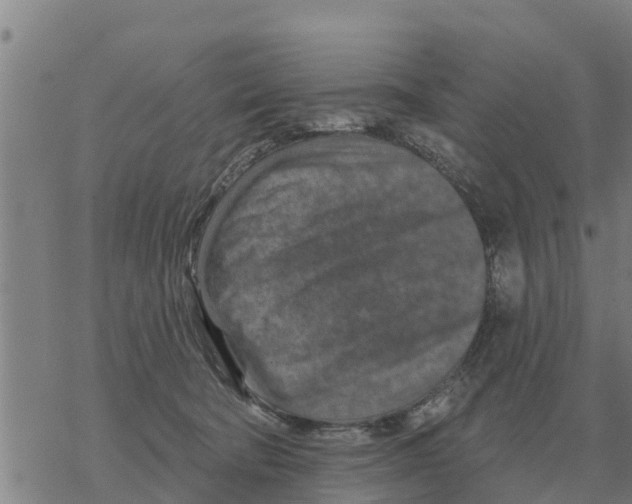 X0000068740322200605262057