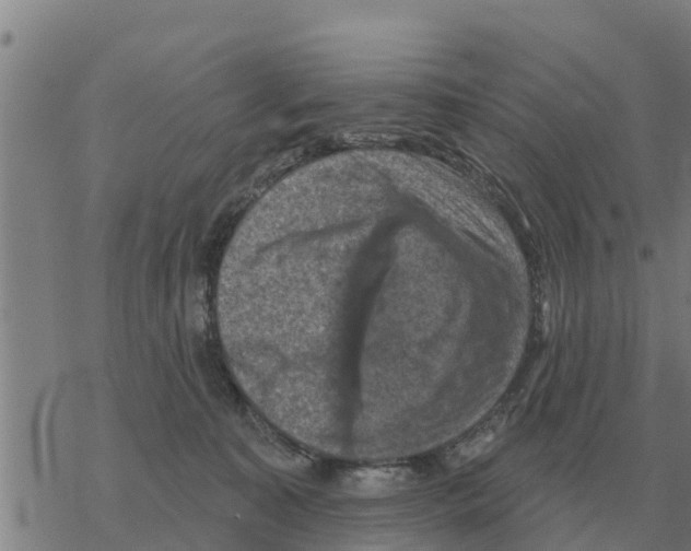 X0000068740323200605262057