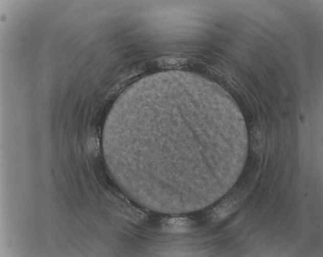 X0000068740324200605262057