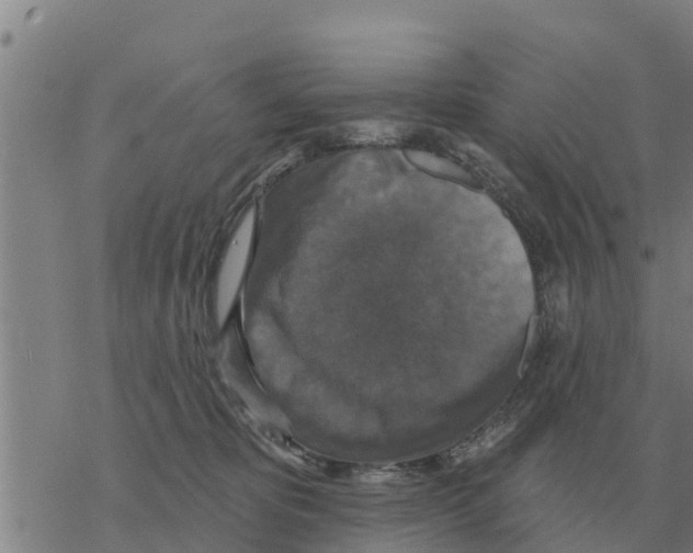 X0000068740325200605262057