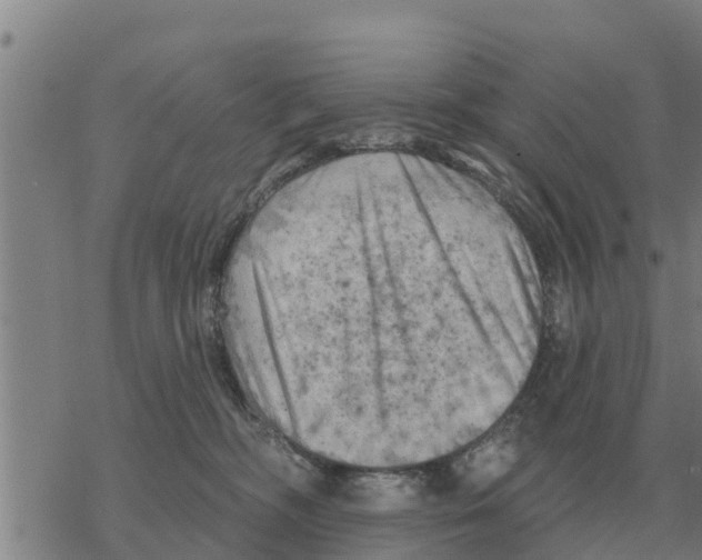 X0000068740326200605262057