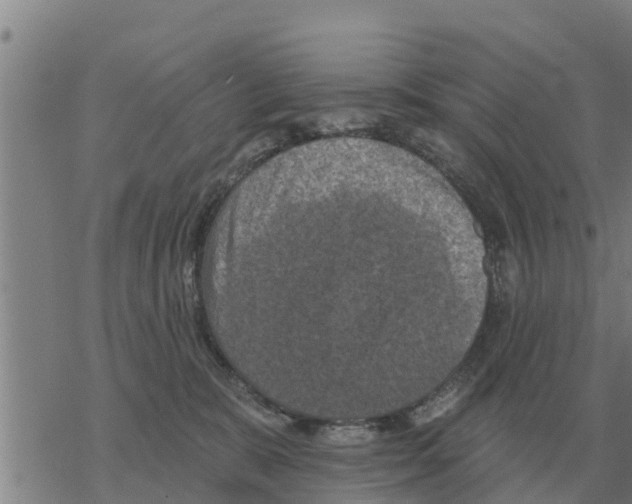 X0000068740327200605262057