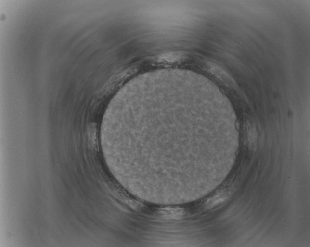 X0000068740328200605262057