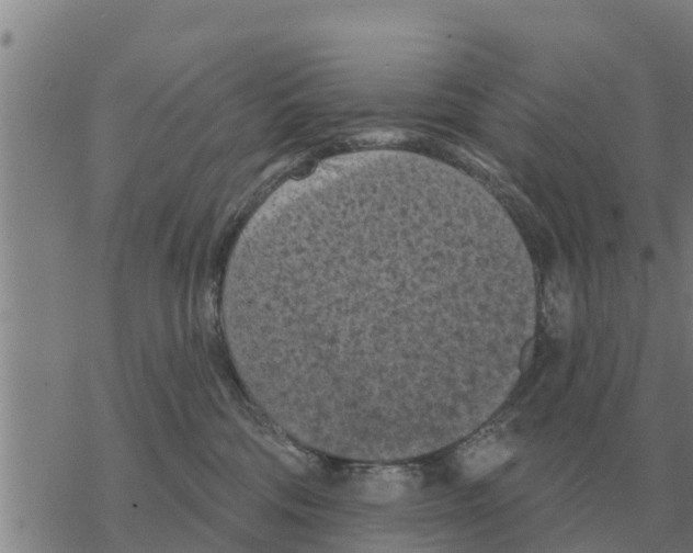 X0000068740330200605262057