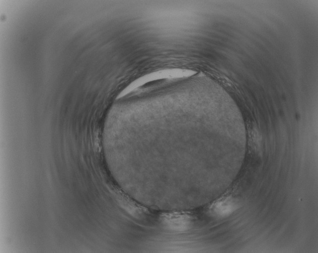 X0000068740331200605262057