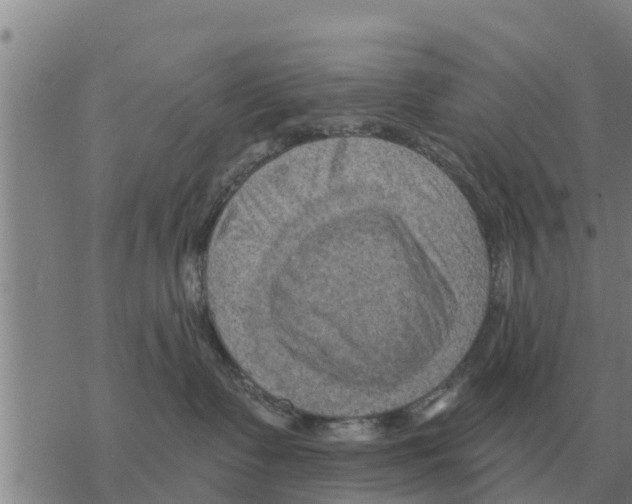 X0000068740335200605262057