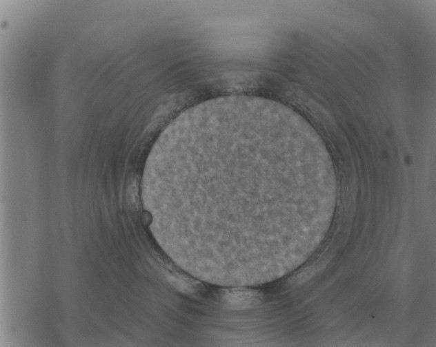 X0000068740336200605262057