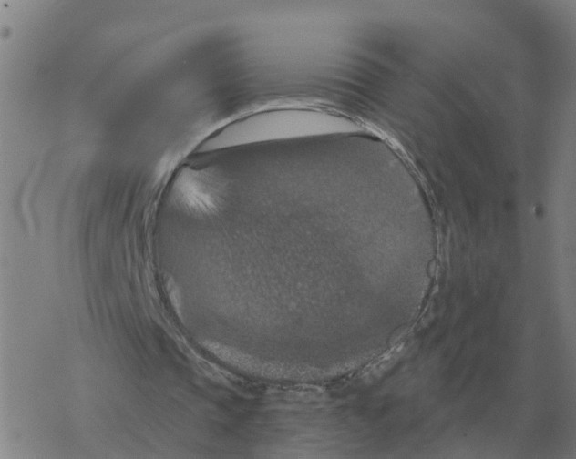 X0000068740337200605262056