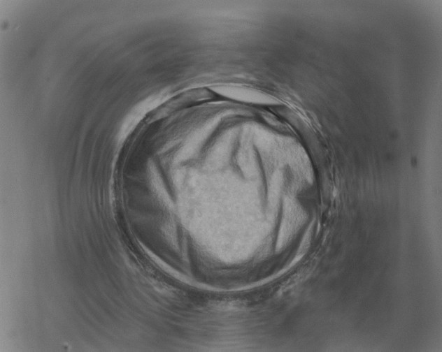 X0000068740340200605262056