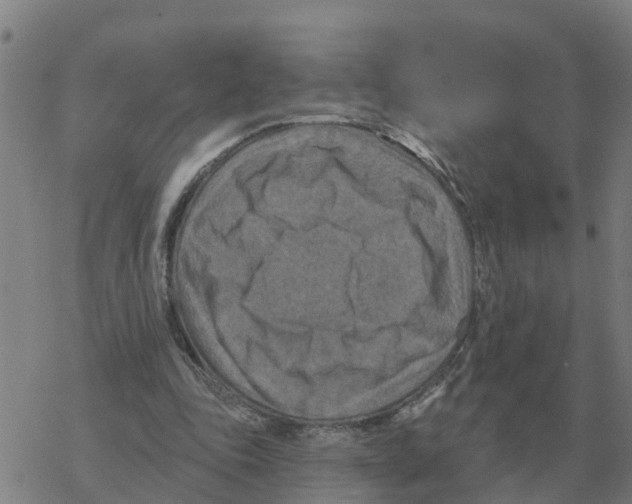 X0000068740343200605262056