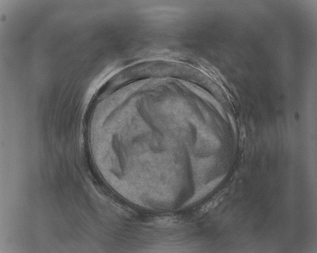 X0000068740344200605262056