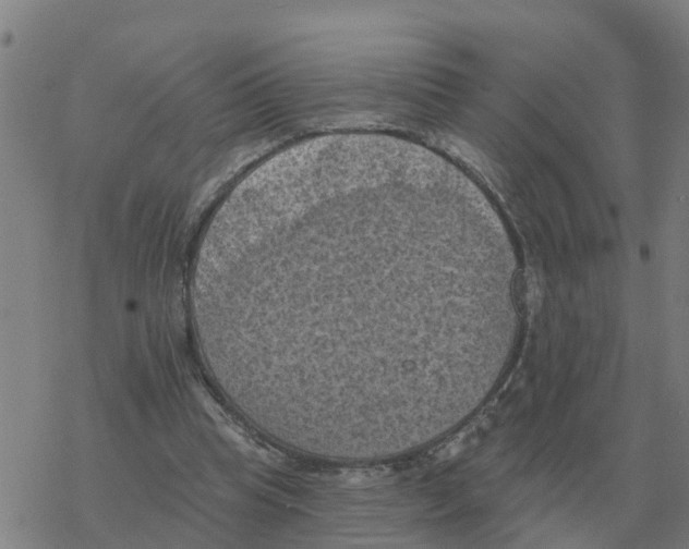 X0000068740345200605262056