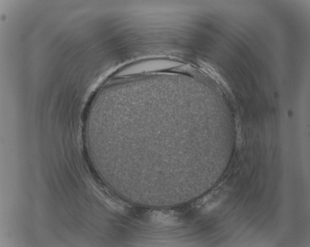 X0000068740346200605262056