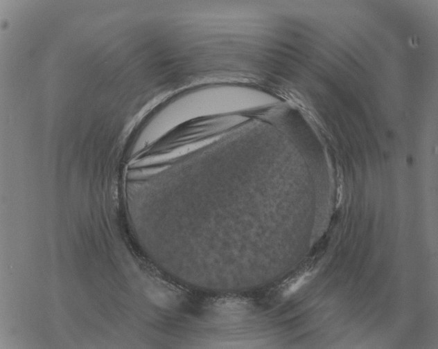 X0000068740348200605262056