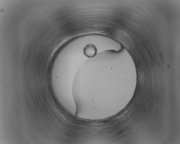 X0000068740350200605262056