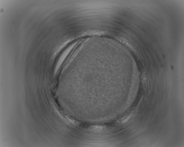 X0000068740352200605262056