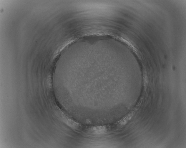 X0000068740353200605262056