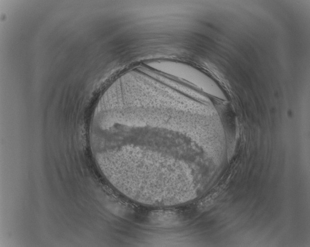 X0000068740354200605262056